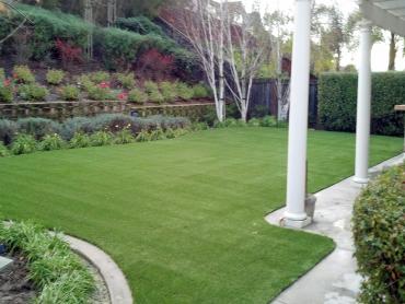 Artificial Grass Photos: Artificial Pet Grass Cherry Valley California Back and Front Yard