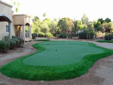 Artificial Grass Photos: Artificial Pet Grass Beaumont California Back and Front Yard