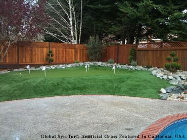 Artificial Grass Photos: Synthetic Pet Grass View Park-Windsor Hills California Lawns