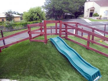 Artificial Grass Photos: Fake Pet Turf Boron California Back and Front Yard