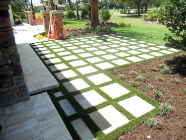 Artificial Grass Photos: Fake Pet Turf Fallbrook California Landscape