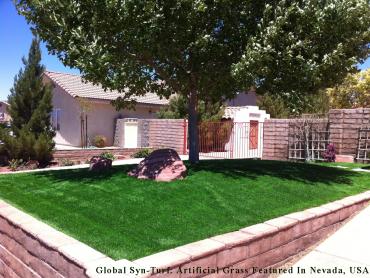 Artificial Grass Photos: Fake Pet Turf West Hollywood California Lawns