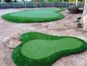 Artificial Grass Photos: Synthetic Pet Turf Golden Hills California Landscape