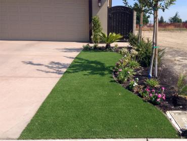 Artificial Grass Photos: Synthetic Pet Turf Rainbow California Back and Front Yard