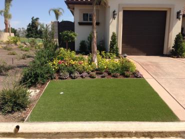 Artificial Grass Photos: Synthetic Pet Turf Big Bear Lake California Landscape