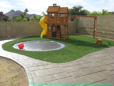 Artificial Pet Turf Alhambra California Lawns artificial grass