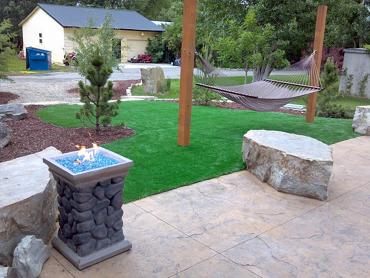 Artificial Grass Photos: Synthetic Pet Turf Bonsall California Landscape