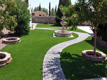 Artificial Grass Photos: Synthetic Pet Turf Bear Valley Springs California Landscape