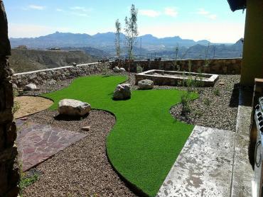 Artificial Grass Photos: Synthetic Pet Turf Toro Canyon California Lawns