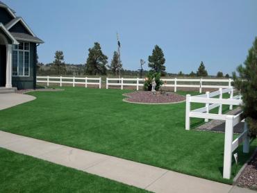 Artificial Grass Photos: Fake Pet Turf Valle Vista California Back and Front Yard