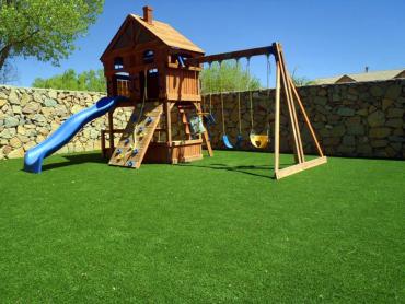 Artificial Grass Photos: Artificial Pet Grass Summerland California Landscape, Lawns