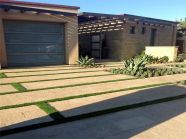 Artificial Grass Photos: Fake Pet Grass Montecito California Lawns