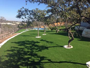 Artificial Grass Photos: Synthetic Pet Turf Cabazon California Landscape, Lawns