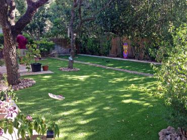 Artificial Grass Photos: Fake Pet Grass Hidden Meadows California Back and Front Yard