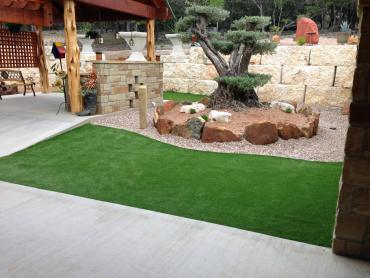 Artificial Grass Photos: Artificial Pet Grass Lake San Marcos California Lawns