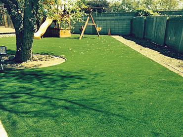 Artificial Grass Photos: Artificial Pet Turf Edmundson Acres California Lawns