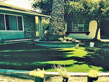 Artificial Grass Photos: Artificial Pet Turf San Marcos California Landscape, Lawns