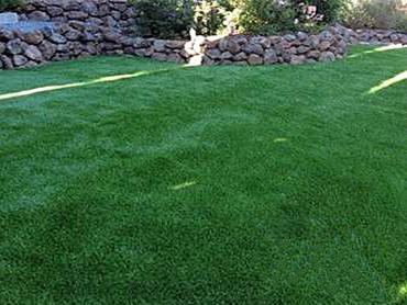 Artificial Grass Photos: Synthetic Pet Grass Encinitas California Landscape