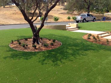 Artificial Grass Photos: Fake Pet Grass Idyllwild-Pine Cove California Lawns