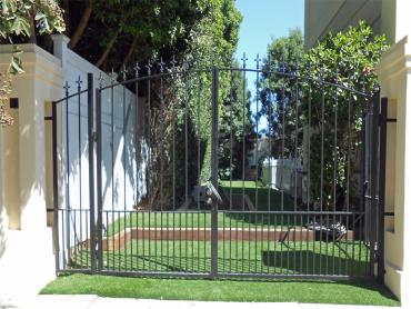 Artificial Grass Photos: Synthetic Pet Turf Idyllwild California Back and Front Yard