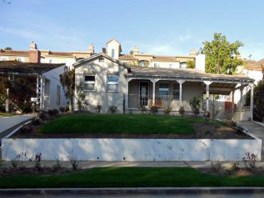 Artificial Grass Photos: Artificial Pet Grass Valley Center California Lawns