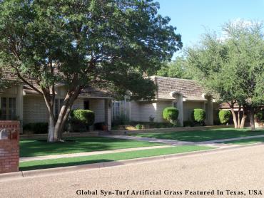 Artificial Grass Photos: Artificial Pet Grass Westmont California Landscape, Lawns