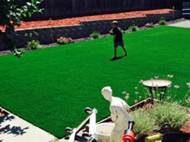 Artificial Grass Photos: Fake Pet Turf Fuller Acres California Landscape, Lawns