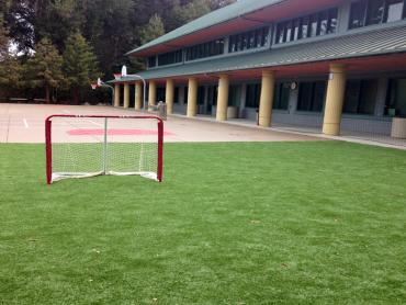 Artificial Grass Photos: Artificial Pet Grass Goleta California Landscape, Lawns