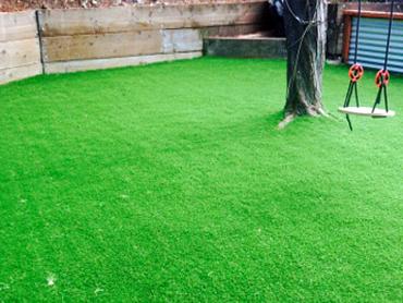 Artificial Grass Photos: Artificial Pet Grass Greenfield California Landscape