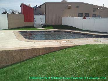 Artificial Grass Photos: Synthetic Pet Turf San Gabriel California Lawns