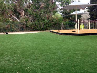 Artificial Grass Photos: Fake Pet Grass Fairbanks Ranch California Lawns