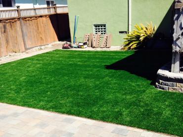 Artificial Grass Photos: Fake Pet Grass Maricopa California Back and Front Yard