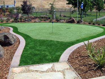 Artificial Grass Photos: Synthetic Pet Grass Anza California Back and Front Yard