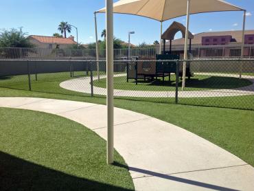 Artificial Grass Photos: Synthetic Pet Grass Randsburg California Back and Front Yard