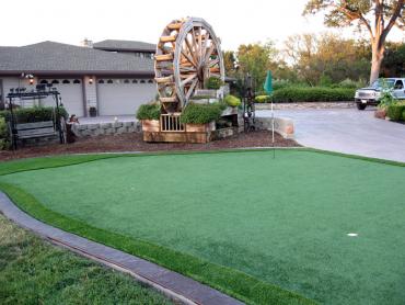 Artificial Grass Photos: Artificial Pet Turf Johannesburg California Landscape