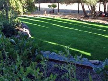 Artificial Grass Photos: Synthetic Pet Turf Palm Springs California Lawns