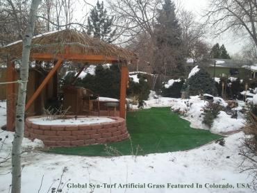 Artificial Grass Photos: Fake Pet Turf Montebello California Back and Front Yard