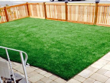 Artificial Grass Photos: Fake Pet Grass Cuyama California Landscape, Lawns