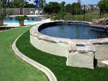 Artificial Grass Photos: Artificial Pet Turf San Pasqual California Lawns