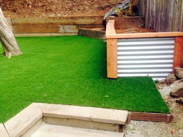 Artificial Grass Photos: Synthetic Turf Lake Los Angeles California Lawn  Backyard