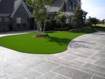 Artificial Grass Photos: Fake Turf Belvedere California Lawn  Front Yard