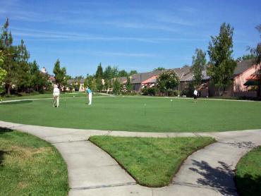 Artificial Grass Photos: Golf Putting Greens El Segundo California Artificial Grass