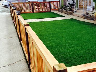 Artificial Grass Photos: Fake Grass Commerce California  Landscape  Front Yard