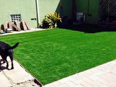 Artificial Grass Photos: Artificial Pet Turf North Glendale California Installation