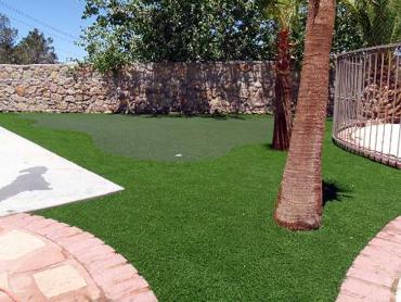 Artificial Grass Photos: Golf Putting Greens Van Nuys California Synthetic Grass  Yard