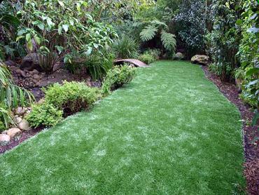 Artificial Grass Photos: Fake Grass South Pasadena California Lawn  Yard