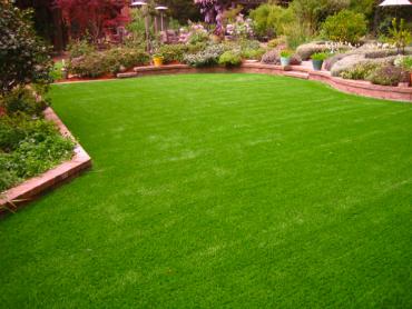 Artificial Grass Photos: Synthetic Grass View Park-Windsor Hills California  Landscape