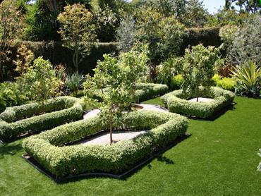 Artificial Grass Photos: Synthetic Grass West Hollywood California  Landscape