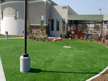 Artificial Grass Photos: Artificial Turf San Gabriel California  Landscape  Landscape