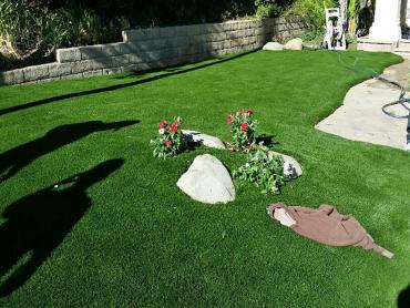 Artificial Grass Photos: Artificial Turf Pasadena California  Landscape  Front Yard